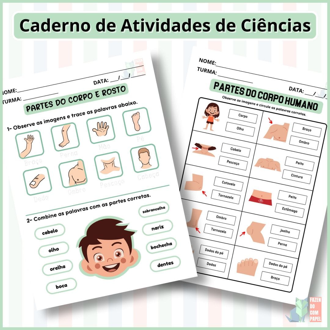 Caderno de Atividades de Ciências - Imagem 2