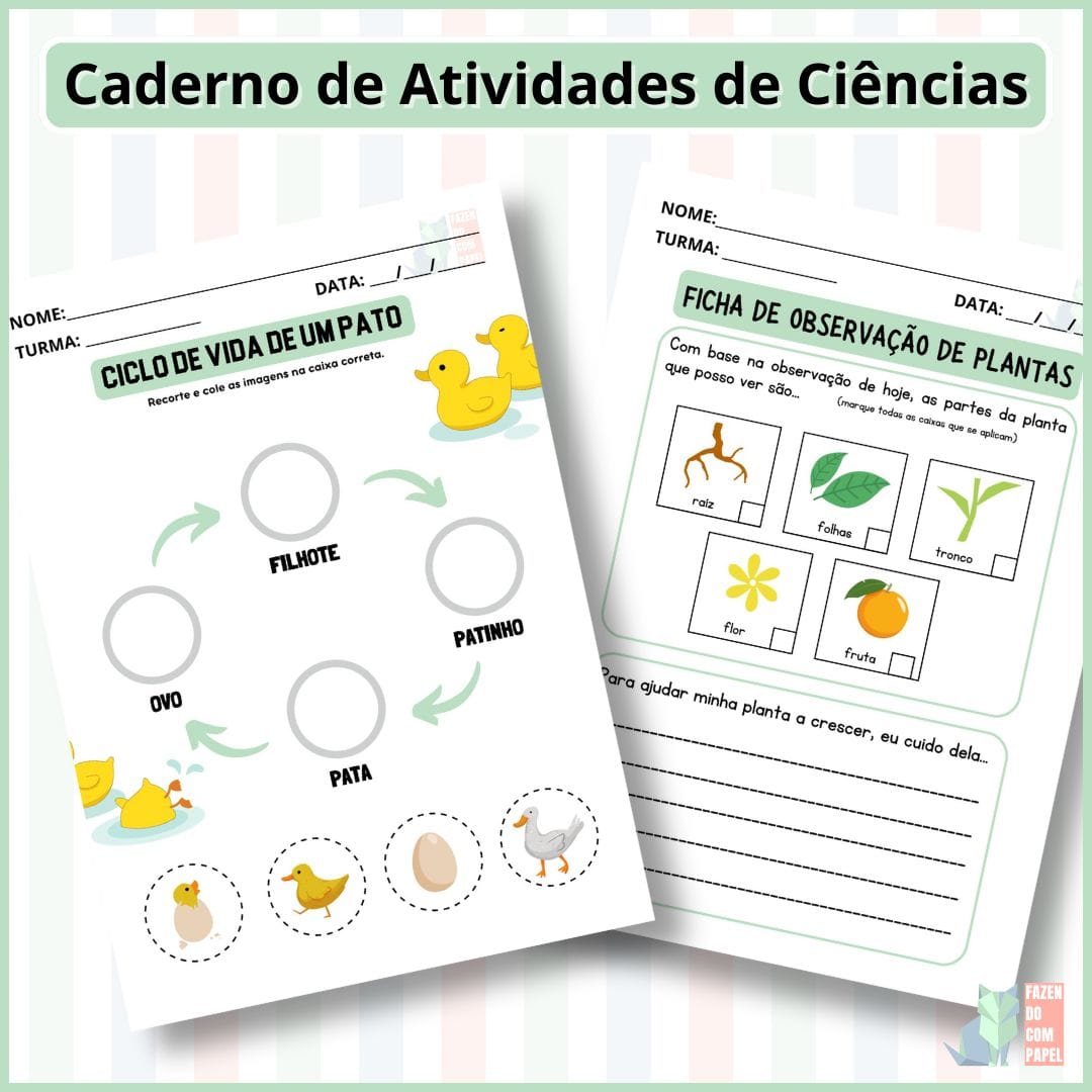 Caderno de Atividades de Ciências - Imagem 3