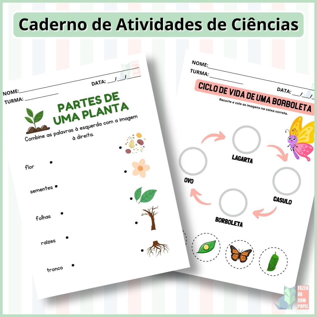 Caderno de Atividades de Ciências - Imagem 5