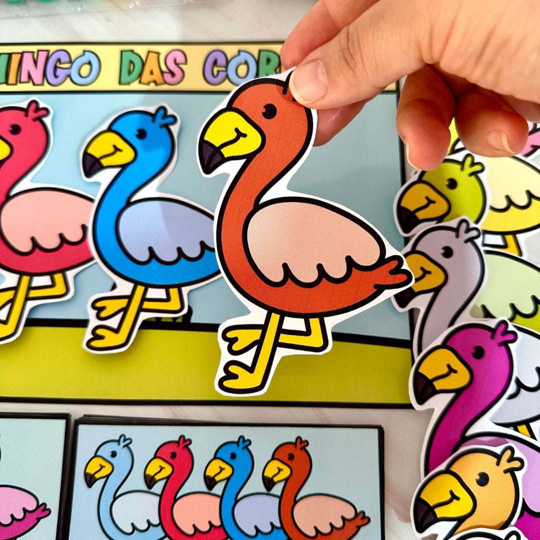 Flamingo das Cores - Imagem 8