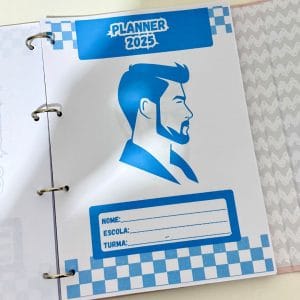 Planner Professor 2025