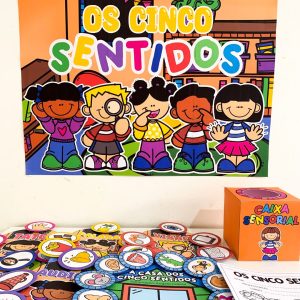 Os 5 Sentidos