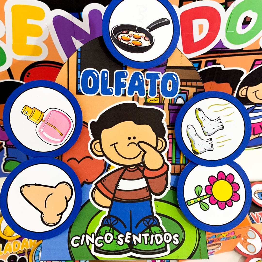 Os 5 Sentidos - Imagem 9
