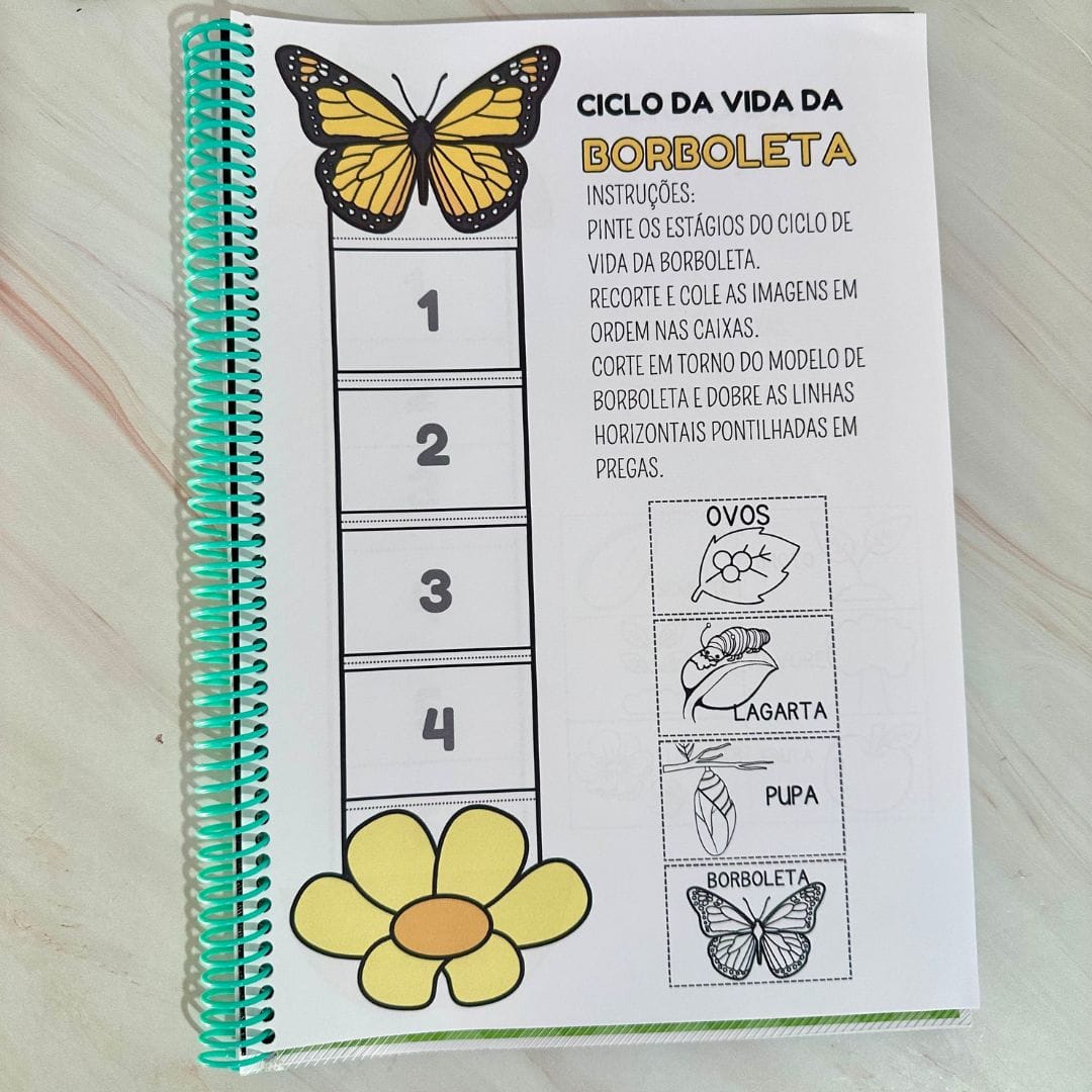 Sequência Temporal - Imagem 4
