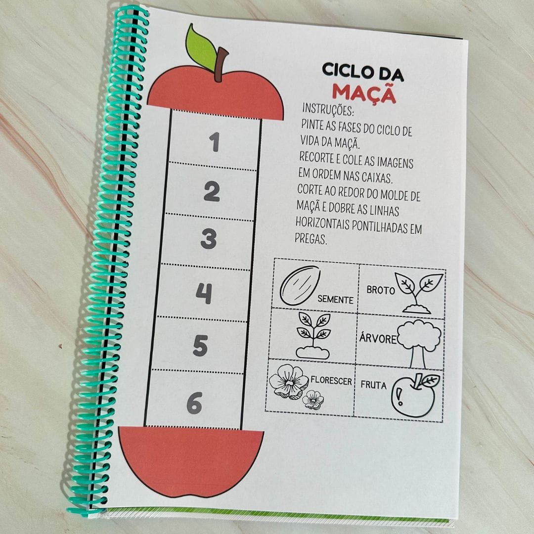 Sequência Temporal - Imagem 6