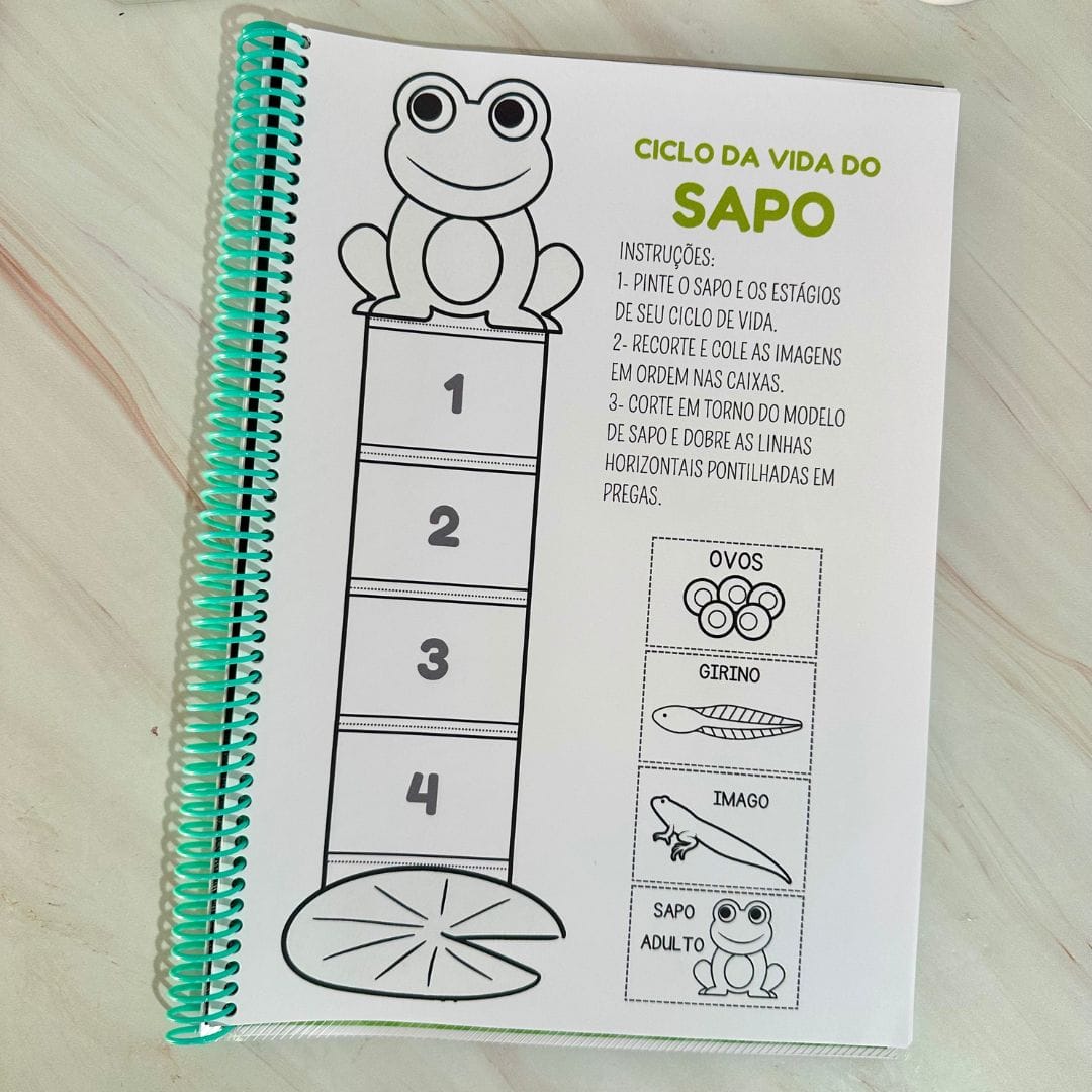 Sequência Temporal - Imagem 7