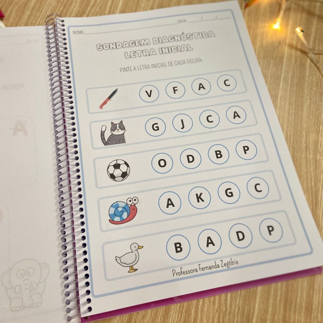 Apostila Sondagem Diagnóstica - Imagem 3