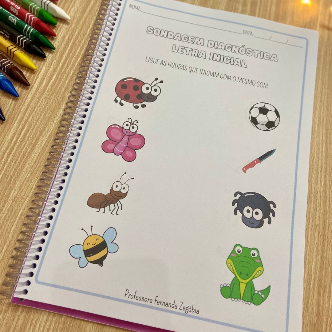 Apostila Sondagem Diagnóstica - Imagem 4