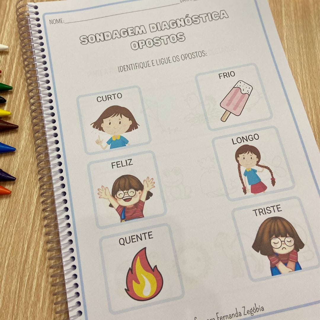 Apostila Sondagem Diagnóstica - Imagem 7