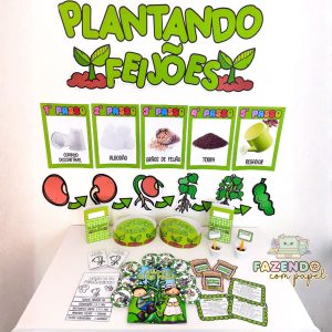 Plantando Feijões